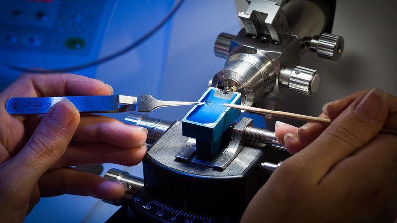 Working under the microscope